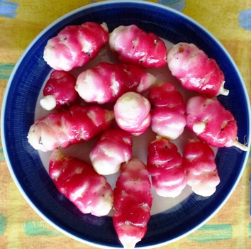 oka (tallerken)